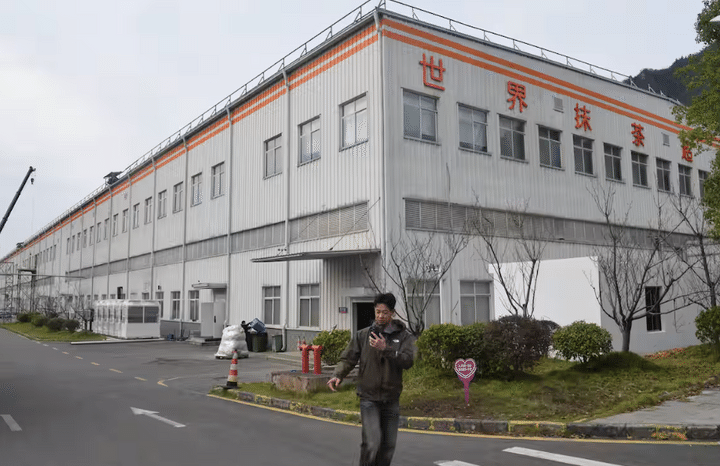 貴茶集団の抹茶加工工場＝10月24日、中国貴州省銅仁市（田中靖人撮影）