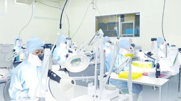 しなのあまぐりを贅沢に使った「しなのあまぐりジェラート」がMakuakeに登場！