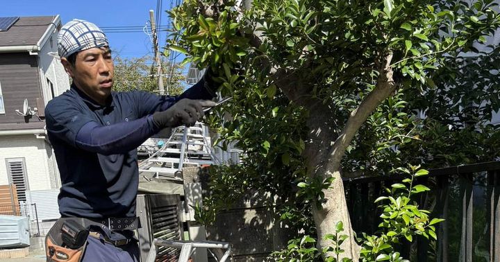 「家じまい」「墓じまい」に続いて、今度は「庭じまい」？