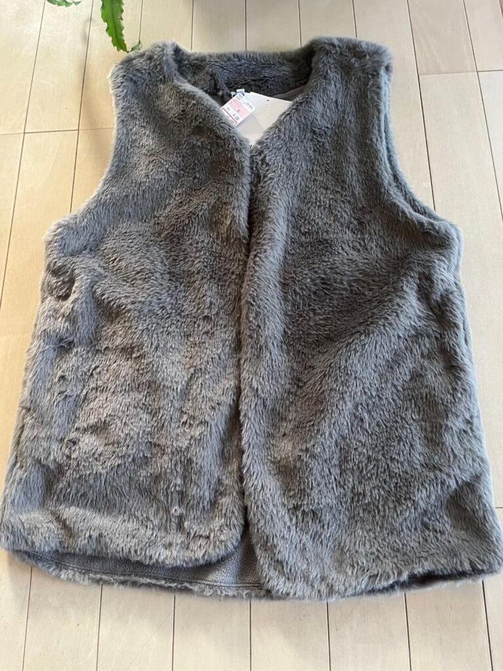 加藤理恵さんのベストコレクション