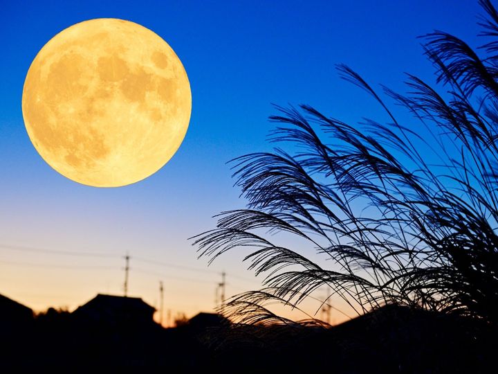 2025年11月5日は、寅の日とスーパームーンが重なり、豊かさのエネルギーが高まる金運招来日！ この日の金運を最大限にアップさせるために「やるといいこと」「やらない方がいいこと」をチェックしておきましょう。（画像出典：PIXTA）