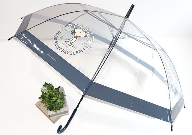 スヌーピー付録 宝島社 限定アイテム