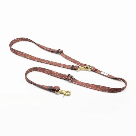 二階堂ふみさん×ciiron TOKYO！再生素材を用いた愛犬と楽しむ特別なコレクションを発表