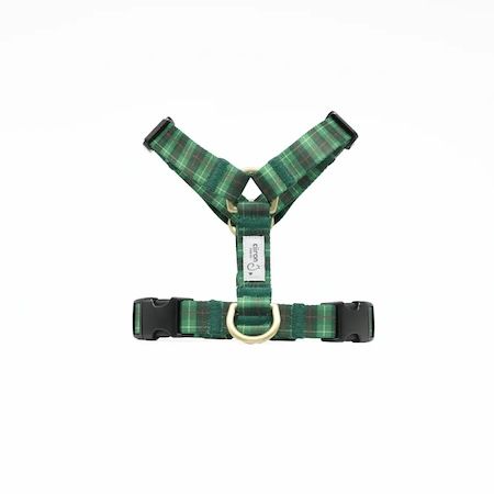 二階堂ふみさん×ciiron TOKYO！再生素材を用いた愛犬と楽しむ特別なコレクションを発表