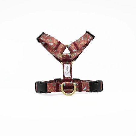 二階堂ふみさん×ciiron TOKYO！再生素材を用いた愛犬と楽しむ特別なコレクションを発表