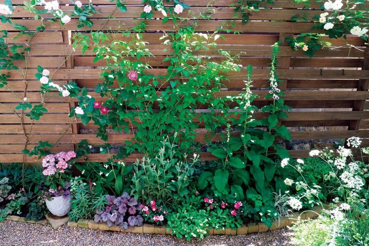 限られた場所を花と緑で彩る！フェンスを活用した「すきまガーデニング」実例6選