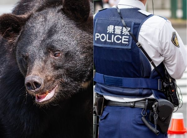 「クマの目撃情報が挨拶がわり」異例の被害相次ぐ秋田で…近隣住民が明かす“切実な悩み”「悪いイメージを払拭して」 | TRILL【トリル】