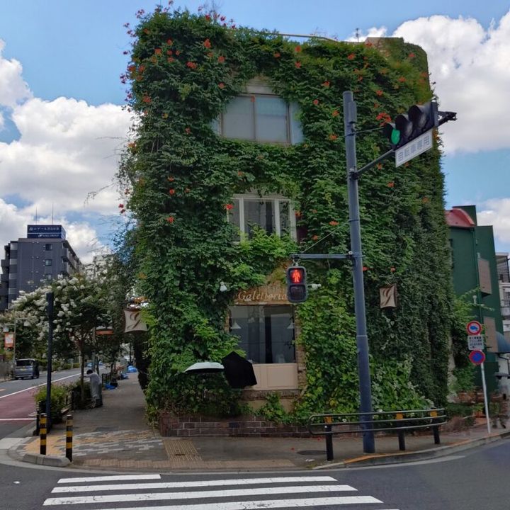 松涛ガレットリア外観