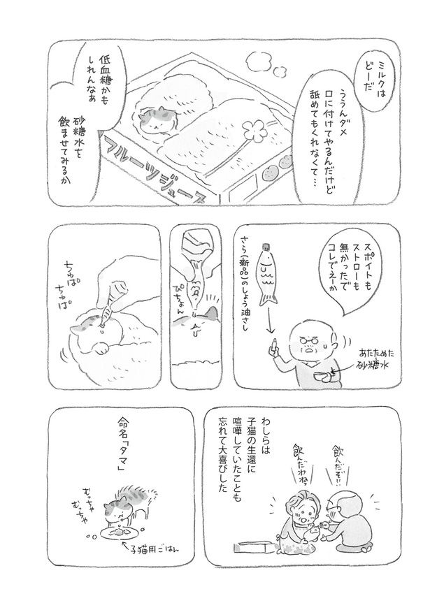 命名「タマ」 （C）ねこまき（ミューズワーク）／KADOKAWA