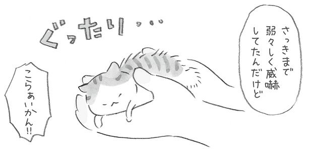 さっきまで弱々しく威嚇してたんだけど （C）ねこまき（ミューズワーク）／KADOKAWA