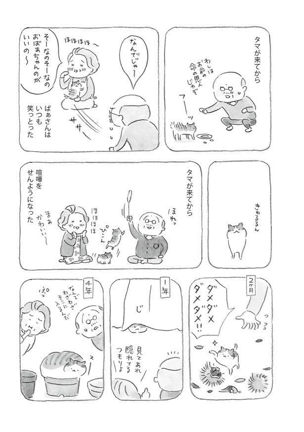 タマが来てから ばぁさんはいつも笑っとった （C）ねこまき（ミューズワーク）／KADOKAWA
