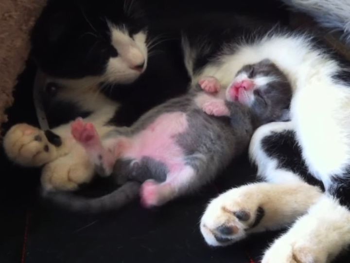 この寝相、たまらん…