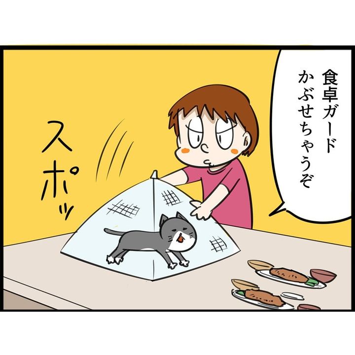 愛猫が気に入った空間について描いた漫画のカット（NOBOさん提供）