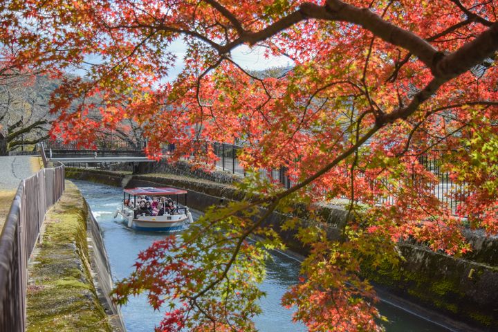 秋の風を受けて進むびわ湖疏水船