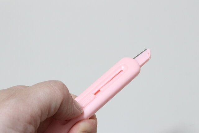 セリアの刃が出るスライド式かみそり セーフティーガード付き 2P