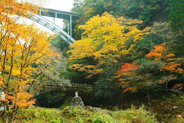 “日本のひなた宮崎県”の秋冬おすすめスポット特集！侍JAPANキャンプも