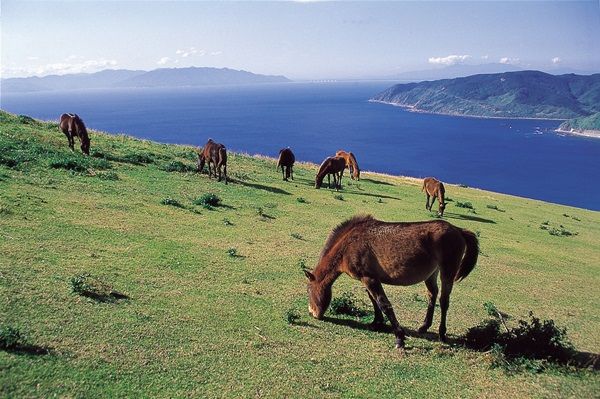 “日本のひなた宮崎県”の秋冬おすすめスポット特集！侍JAPANキャンプも