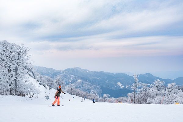 “日本のひなた宮崎県”の秋冬おすすめスポット特集！侍JAPANキャンプも