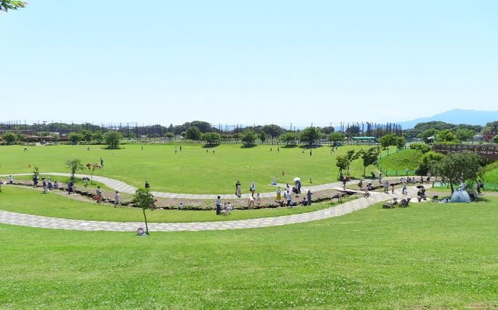 大和市イベント観光協会