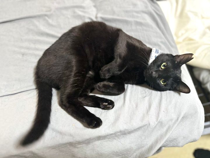 5日、宮城県多賀城市公式Xが更新。