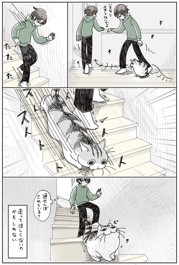 通せんぼされている？ （C）キュルZ／KADOKAWA