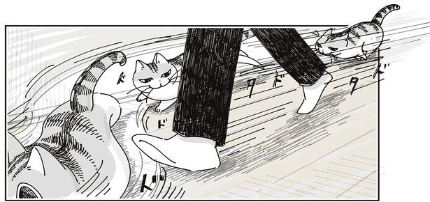 回り込んで… （C）キュルZ／KADOKAWA