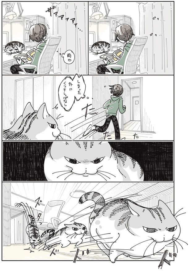 雨か… （C）キュルZ／KADOKAWA