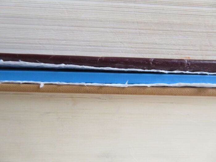 『濡れたノート』冷凍してみて！意外すぎる“よみがえりテク”→実際に試した結果は！？