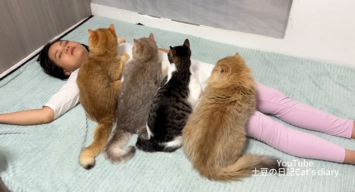 飼い主さんが死んだと勘違いした猫達