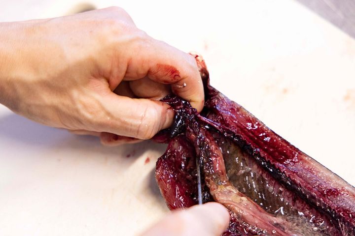 さばいたサンマ