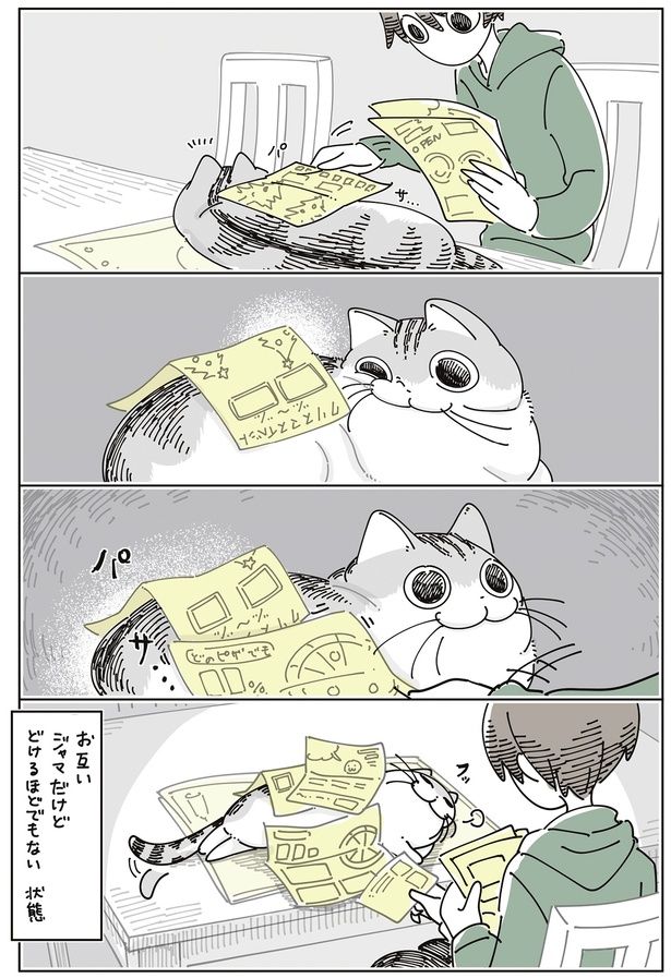 お互いジャマだけど （C）キュルZ／KADOKAWA