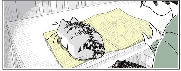チラシの上に陣取る猫 （C）キュルZ／KADOKAWA