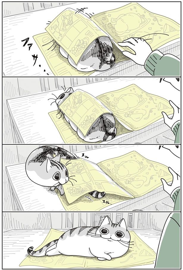 ファサ… （C）キュルZ／KADOKAWA