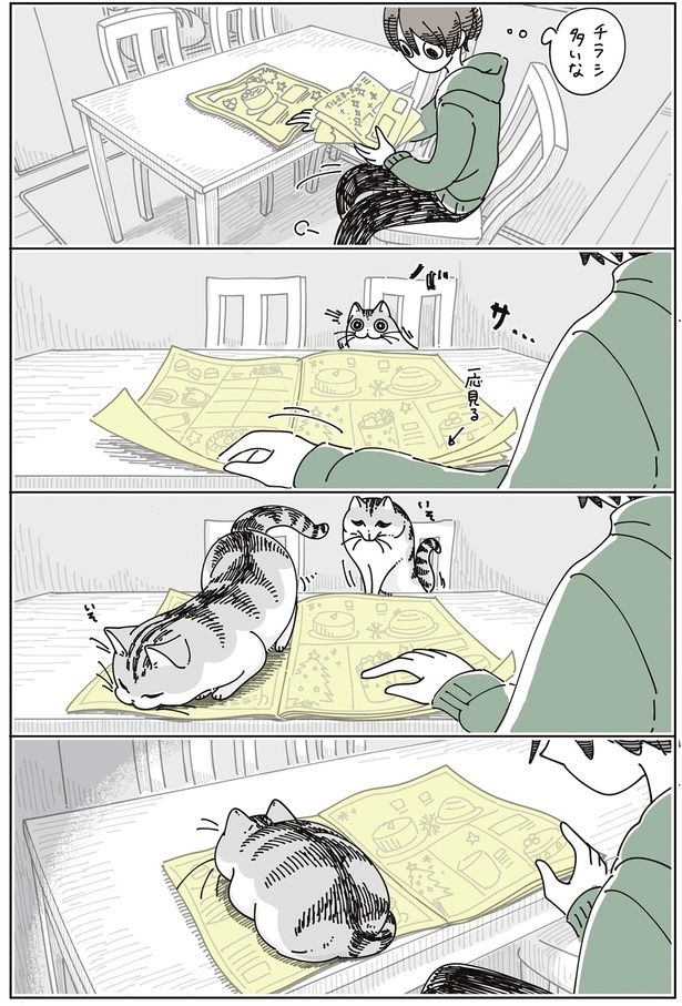 チラシ多いな （C）キュルZ／KADOKAWA