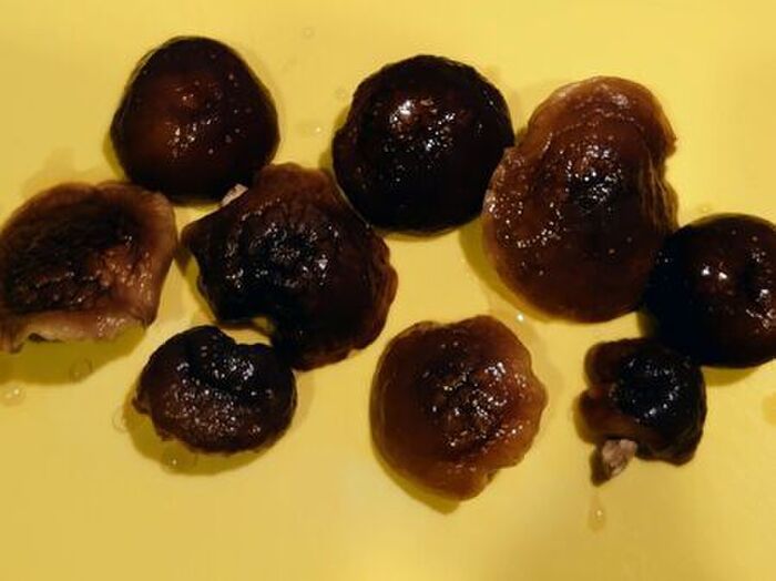 洗濯ネットが意外なモノの代用品に！？自宅で簡単にできますよ♪【やってみた】