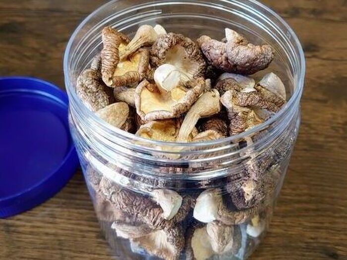 洗濯ネットが意外なモノの代用品に！？自宅で簡単にできますよ♪【やってみた】