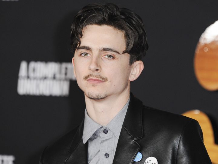 ティモシー・シャラメ、オスカーを逃した落胆を率直に語る （C）AFLO width=