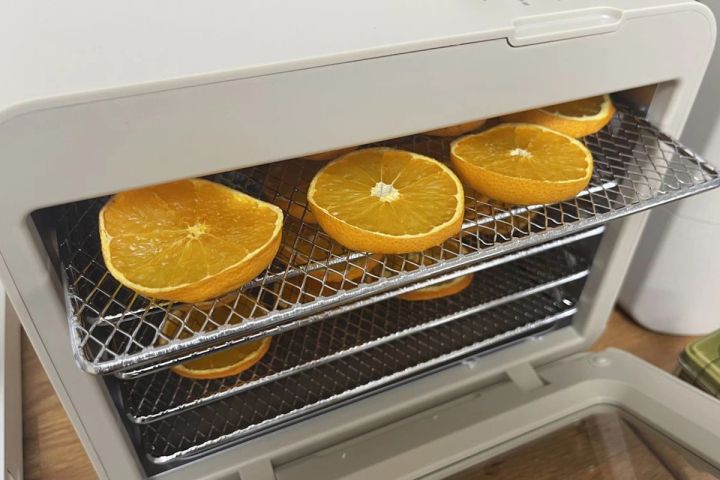 レコルト ドライフード＆ヨーグルトメーカー 神原サリー 家電 美活