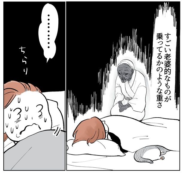 「こねこのドレイ8」4/18 画像提供：長谷川ろくさん