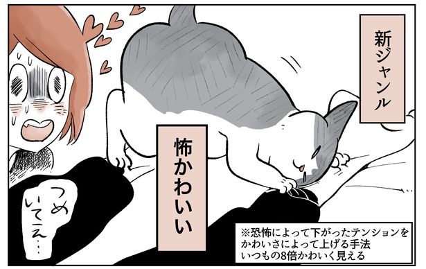 「こねこのドレイ8」11/18 画像提供：長谷川ろくさん