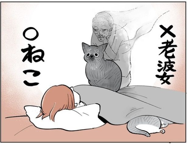 猫が老婆の幽霊に見える女性 画像提供：長谷川ろくさん