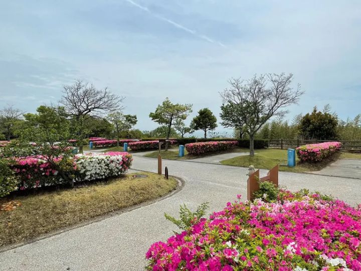 ワークマンが神アイテム出した！普段使いもできる新定番アイテムとは？