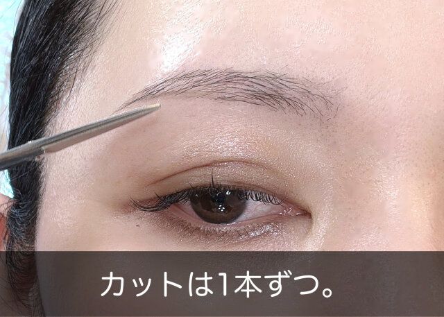 眉メイク カットは1本ずつ