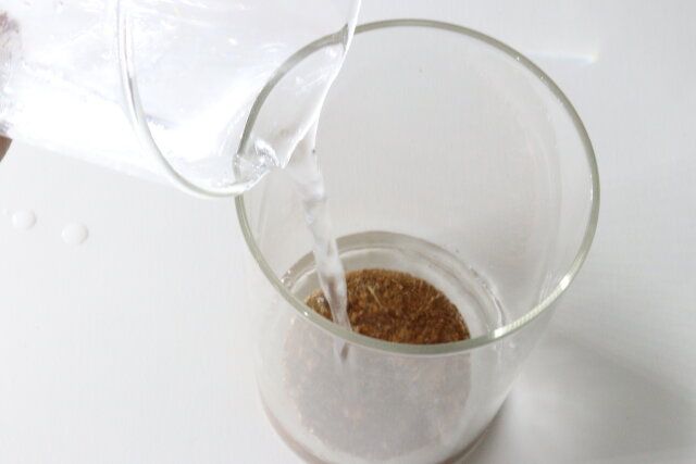 ダイソー 栽培セット びよーんとこねぎ ココヤシ圧縮土 もどす