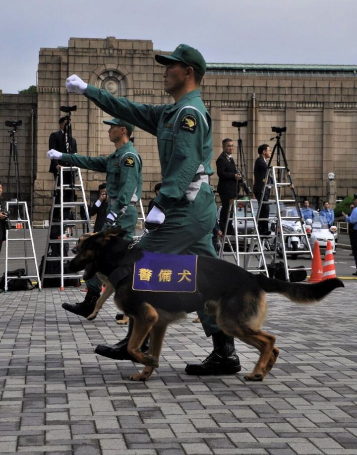 愛知県の航空自衛隊小牧基地が6日、公式Xを更新。警備犬の里親の募集を開始したことを発表しました。