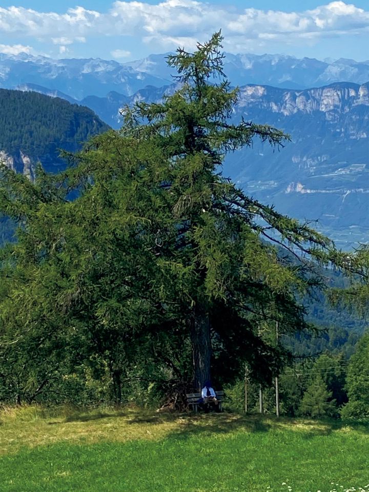 「イタリア・南チロル（写真）を再訪したいですし、インドネシアの島々にも旅してみたいです」