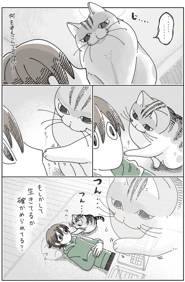 何を考えこんでるんだろう （C）キュルZ／KADOKAWA