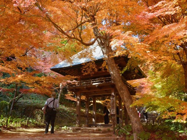 All About ニュース編集部が全国250人を対象に実施した「治安がいいと思う市に関するアンケート」の調査結果から、「治安がいいと思う」山口県の市ランキングを発表！ 2位「山口市」を抑えた1位は？