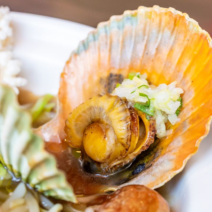 長崎県産のヒオウギ貝