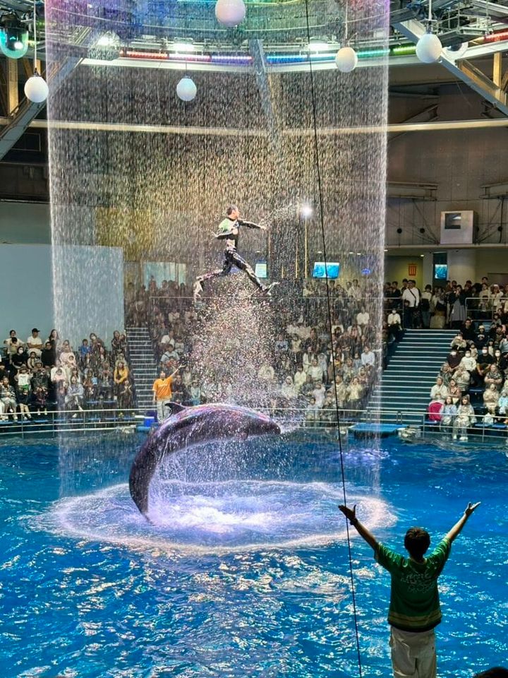 「アクアリウム品川」 イルカとお兄さん